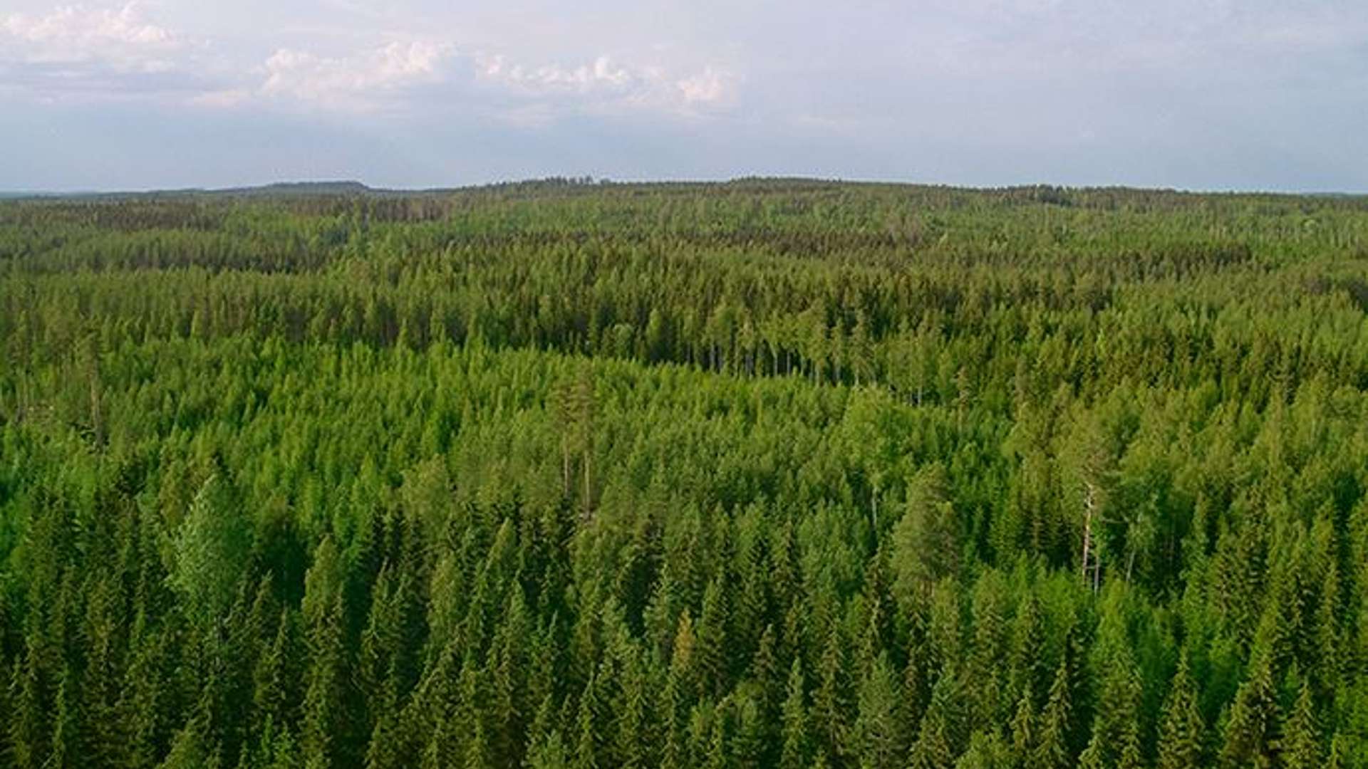 Metsä Board jälleen parhaiden joukossa EcoVadis 2022 -arvioinnissa